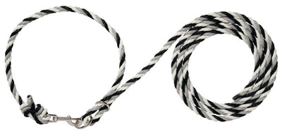 Black and white striped dog leash on a white background