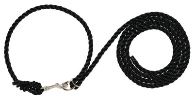 Black braided dog leash with metal clip on a white background