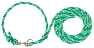 Green and blue braided dog leash with metal clip on a white background