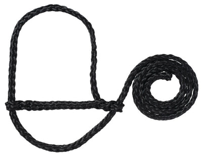 Black rope halter on a white background