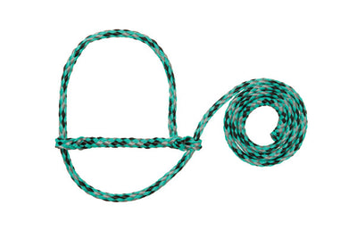 Green and red braided rope halter on a white background