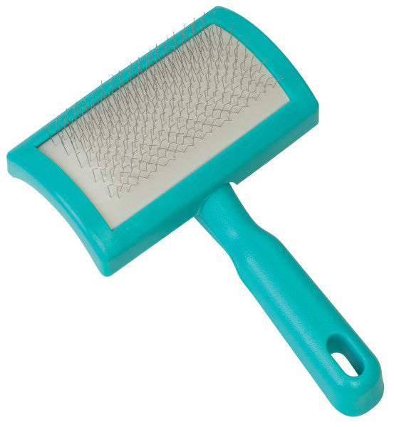 Turquoise pet grooming brush with a clear handle on a white background