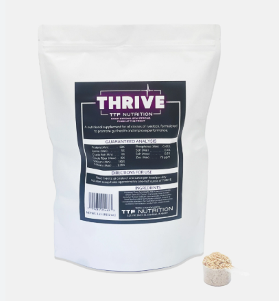White supplement package with 'THRIVE TTF Nutrition' branding on a white background