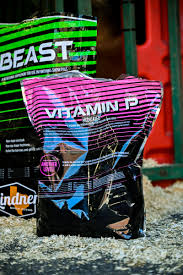 Beast and Vitamin D3 supplements on a gravel surface