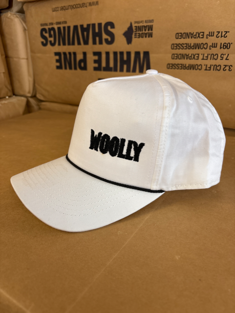 A white baseball cap with 'WOOLLY' embroidered in black on the front, resting on a brown cardboard box.