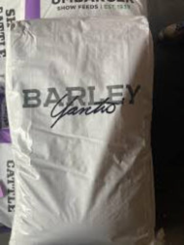 Barley Ganois packaging with visible branding on a white background